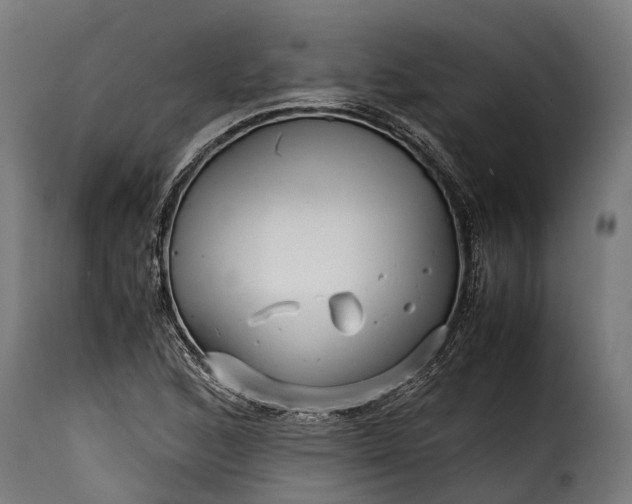 X0000115641168200911241703