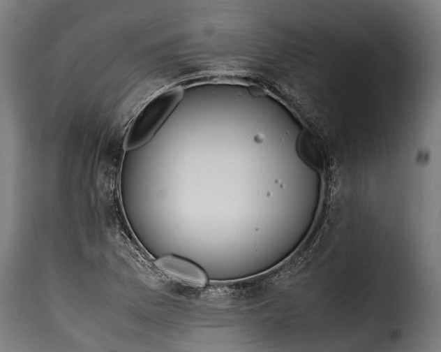 X0000115641169200911241703