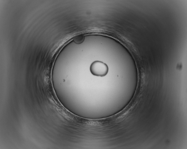 X0000115641170200911241703