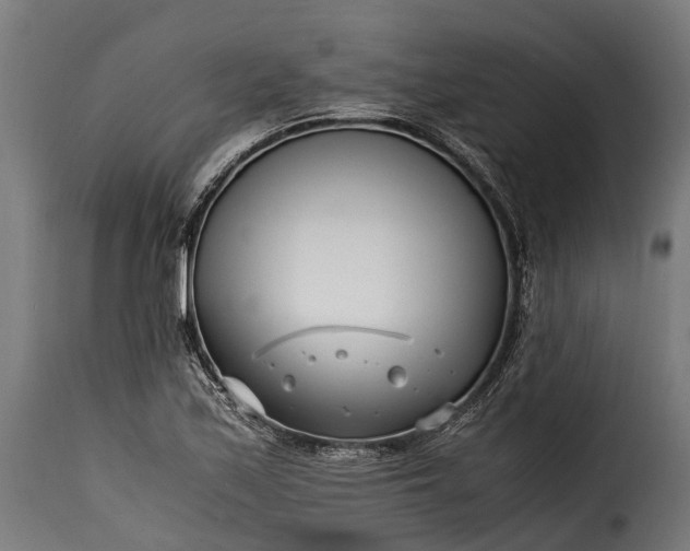 X0000115641171200911241703