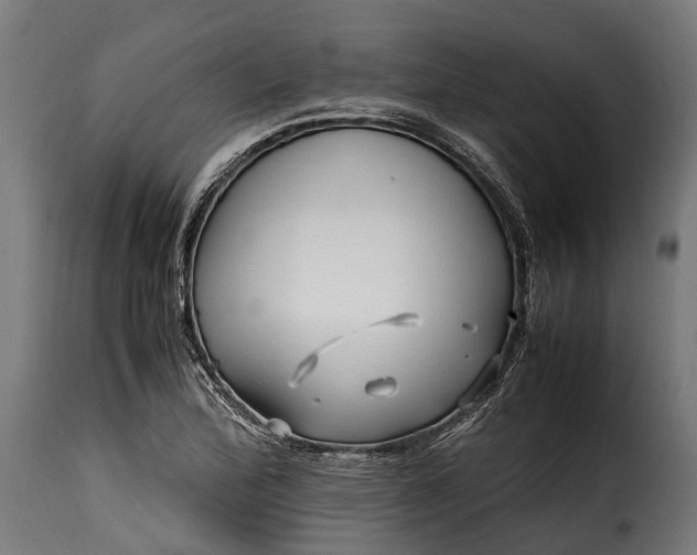 X0000115641172200911241703