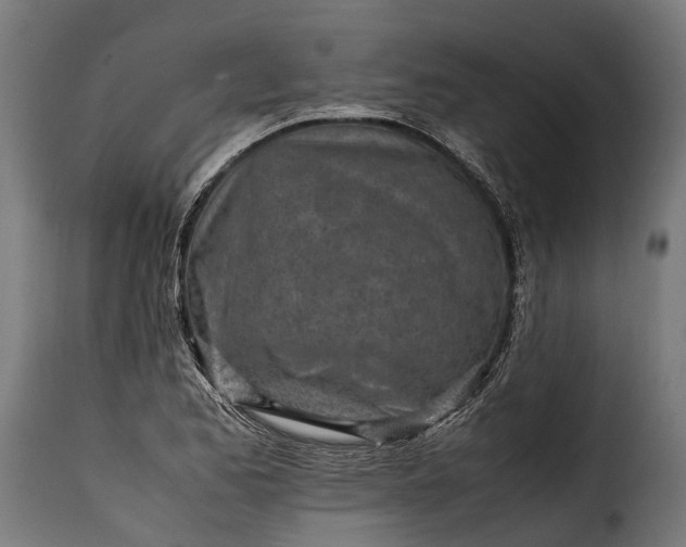 X0000115641173200911241703