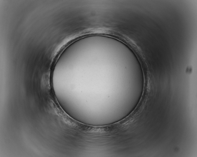 X0000115641174200911241703