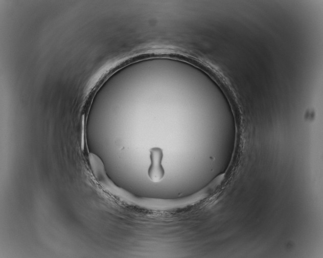 X0000115641175200911241703