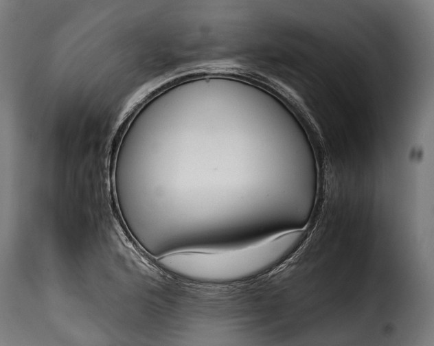 X0000115641176200911241703