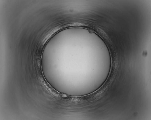 X0000115641177200911241703