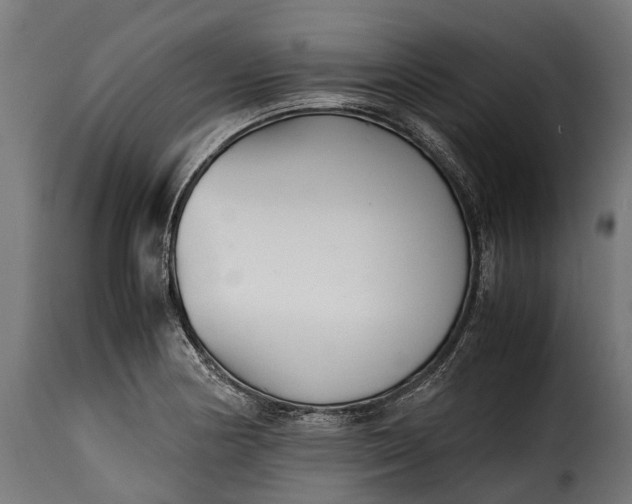 X0000115641178200911241703