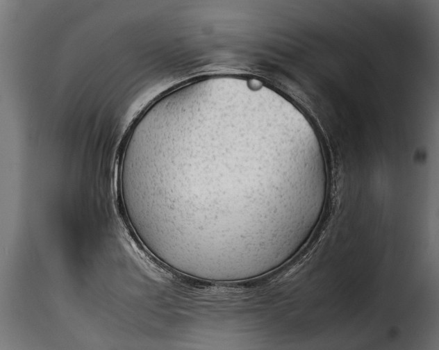 X0000115641179200911241703