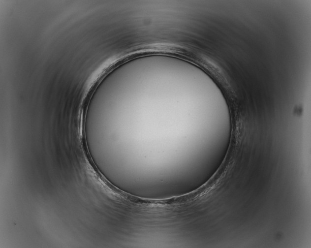 X0000115641180200911241703