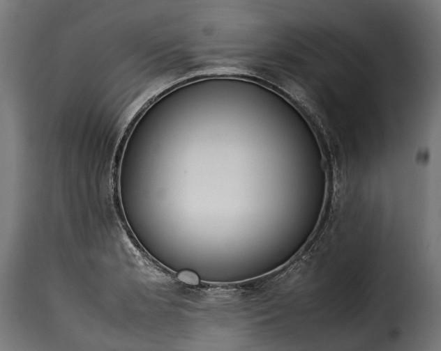 X0000115641181200911241703