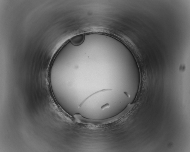 X0000115641182200911241703