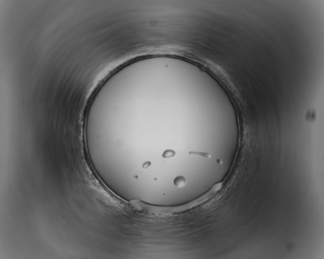 X0000115641184200911241703