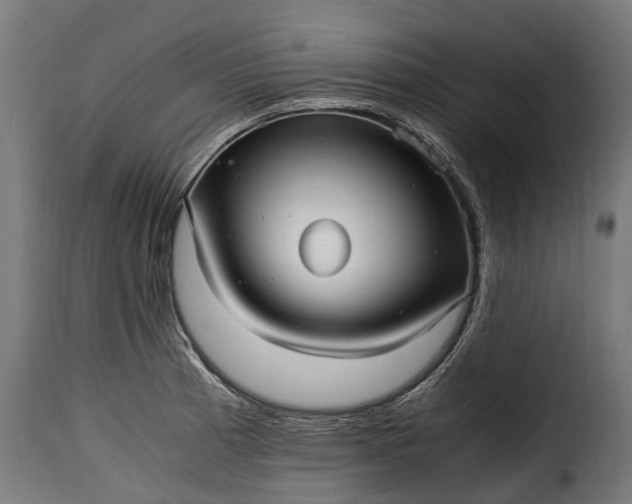 X0000115641185200911241703