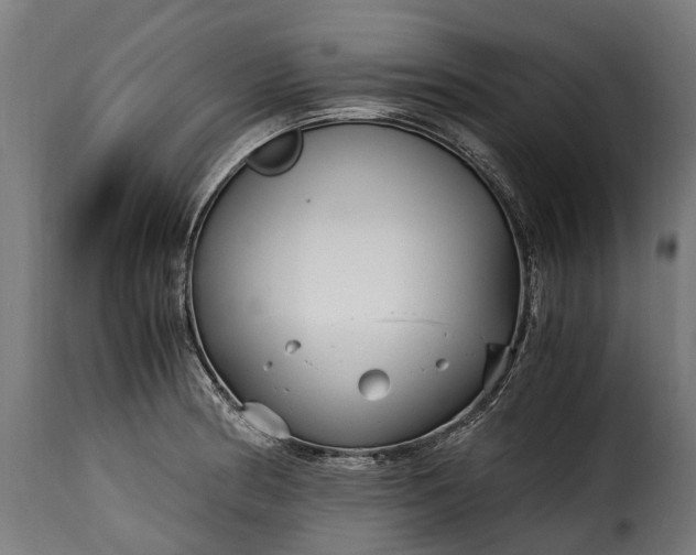 X0000115641186200911241703