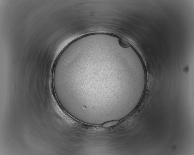 X0000115641187200911241703