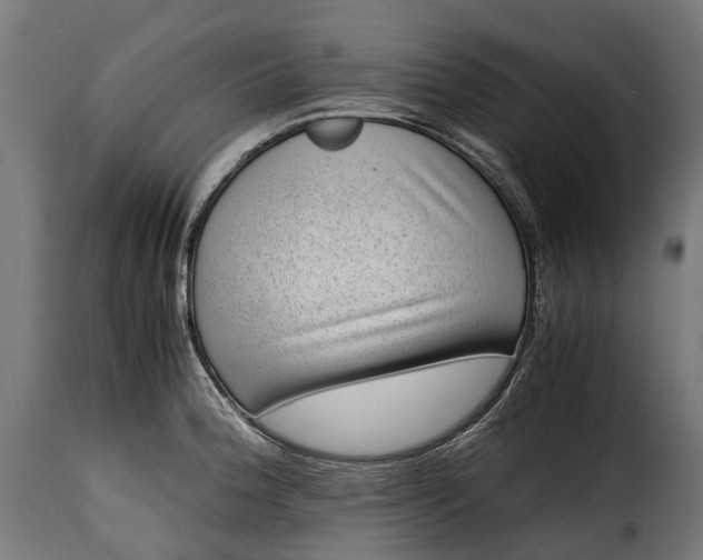 X0000115641188200911241703