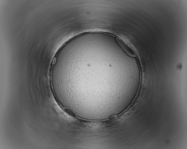 X0000115641189200911241703