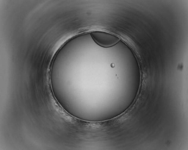 X0000115641190200911241703