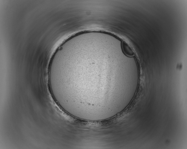 X0000115641191200911241703