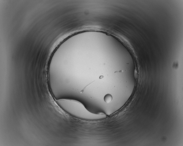 X0000115641192200911241703