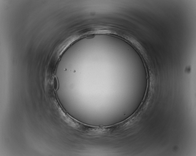 X0000115641193200911241703