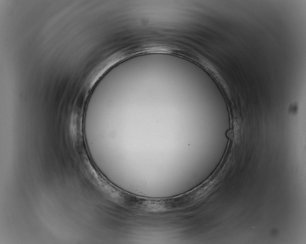 X0000115641194200911241703