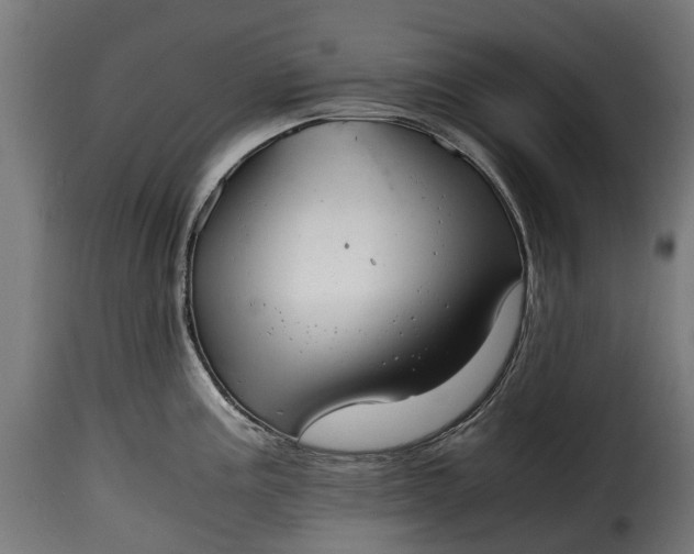 X0000115641195200911241703