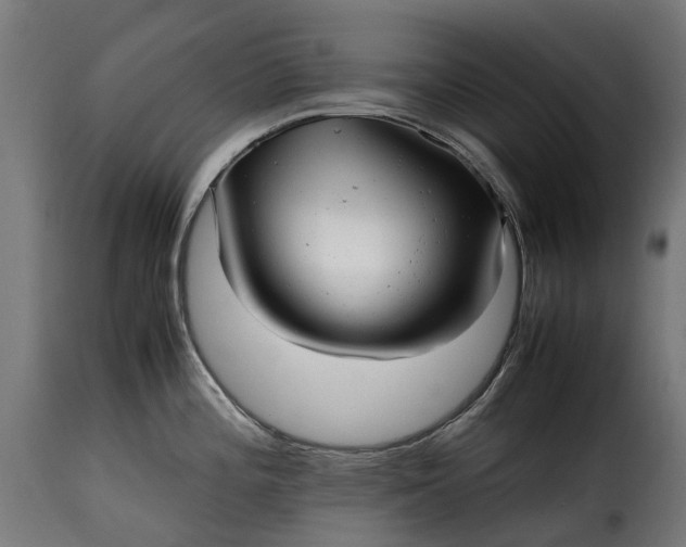 X0000115641196200911241703