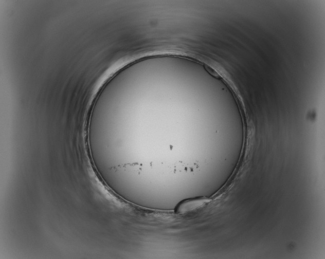 X0000115641197200911241703