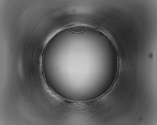 X0000115641198200911241703