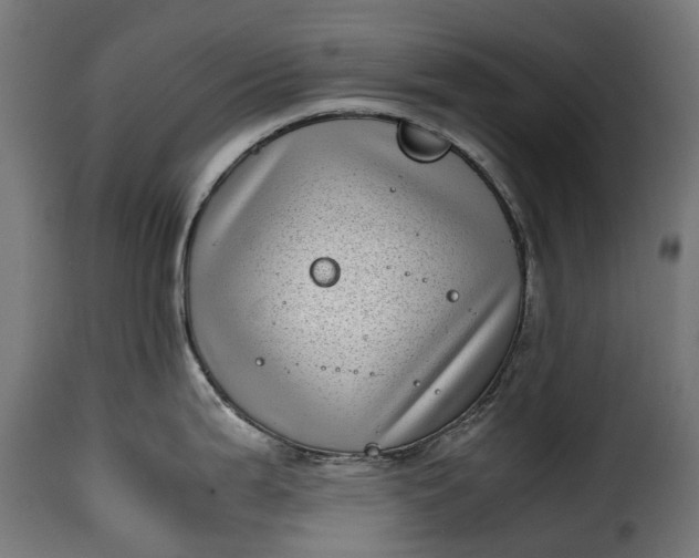 X0000115641199200911241703