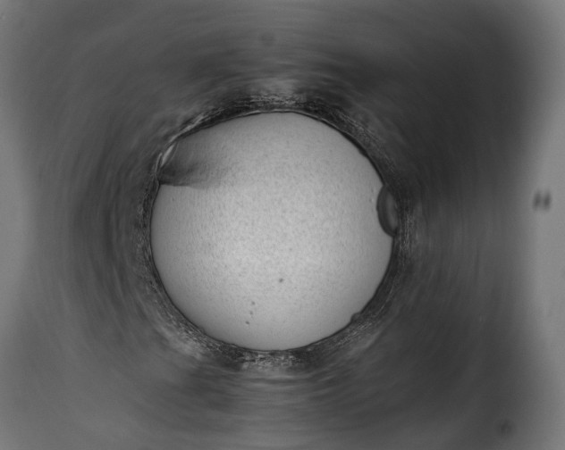 X0000115641201200911241702