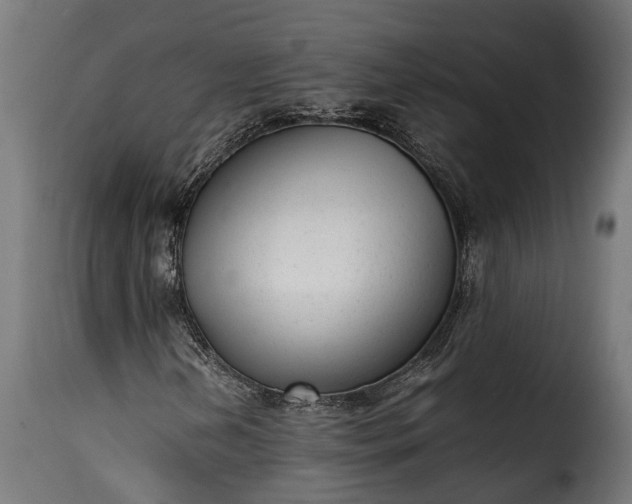 X0000115641202200911241702