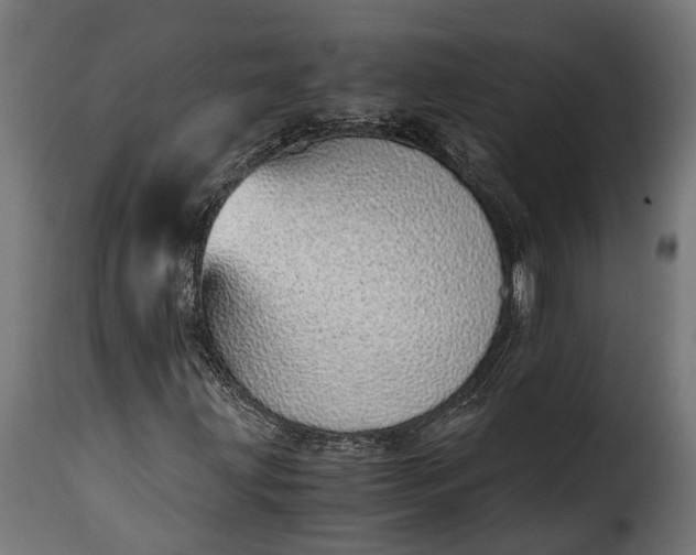 X0000115641203200911241702