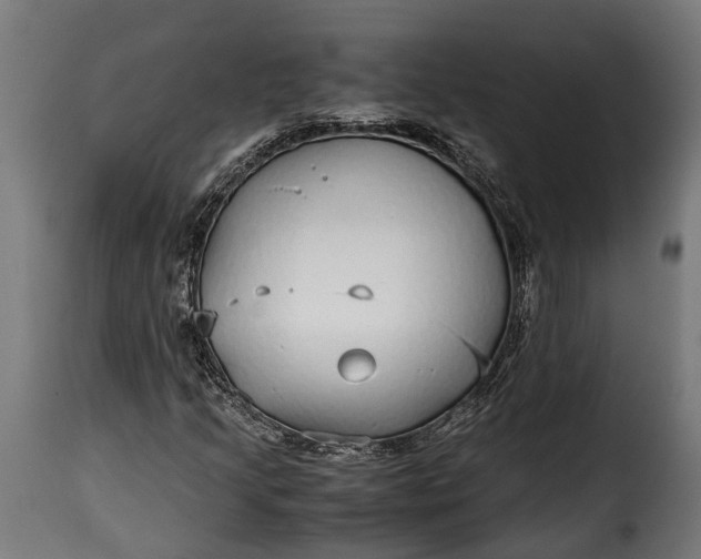 X0000115641205200911241702