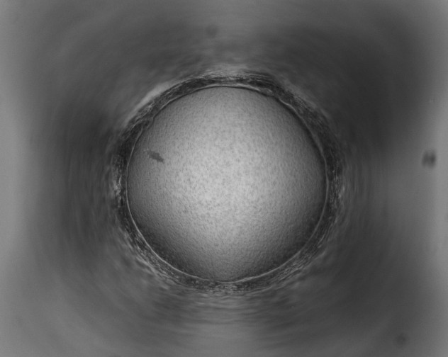 X0000115641206200911241702