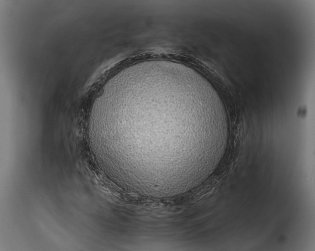 X0000115641207200911241702