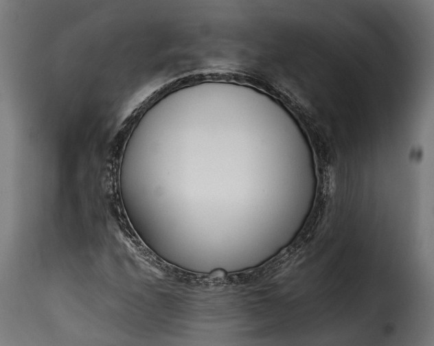 X0000115641208200911241702