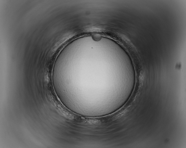 X0000115641209200911241702