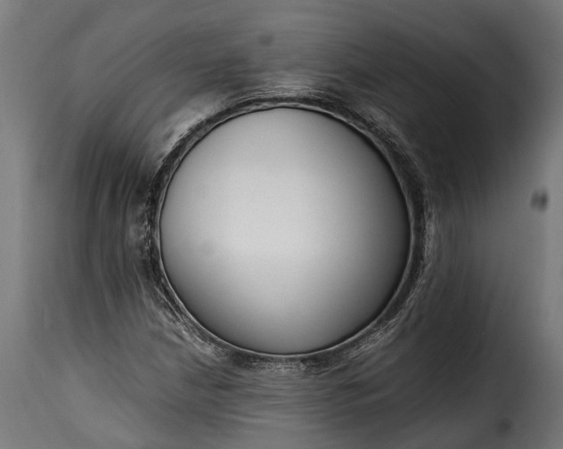 X0000115641210200911241702