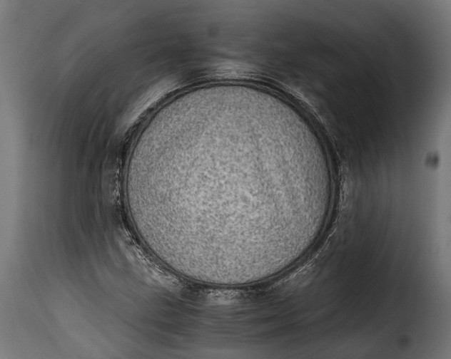 X0000115641211200911241703