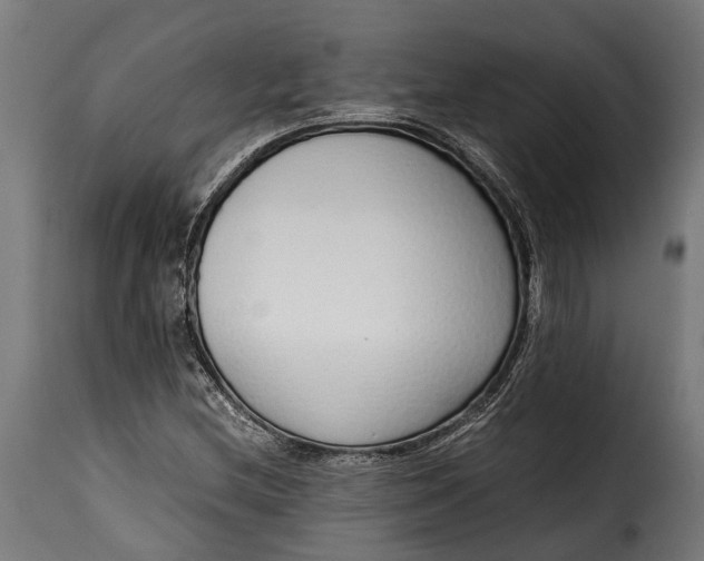 X0000115641212200911241703