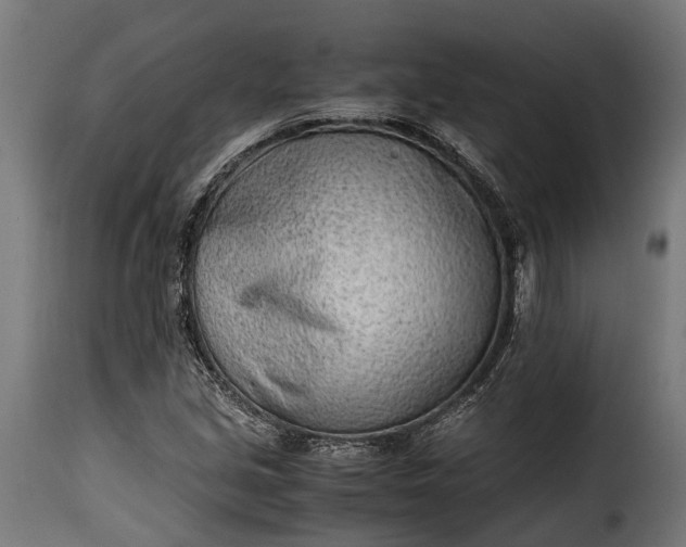 X0000115641213200911241703