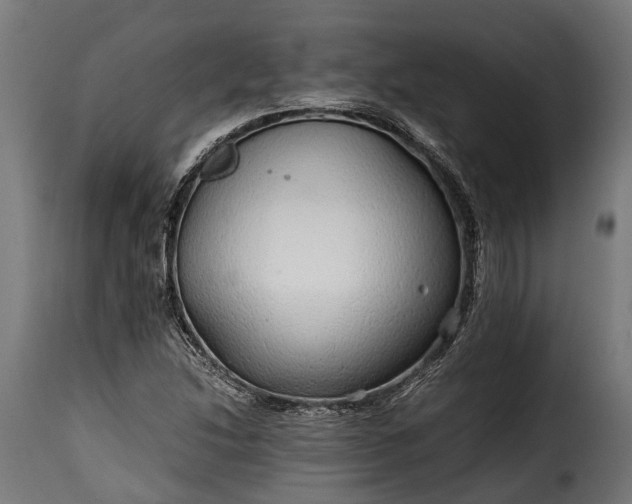 X0000115641214200911241703