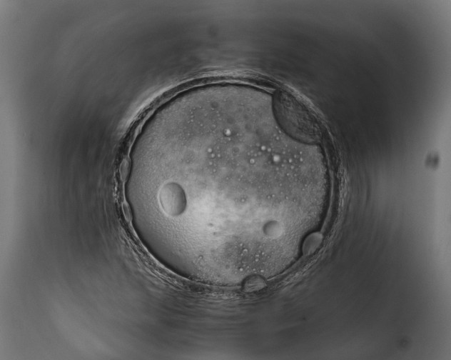 X0000115641215200911241703