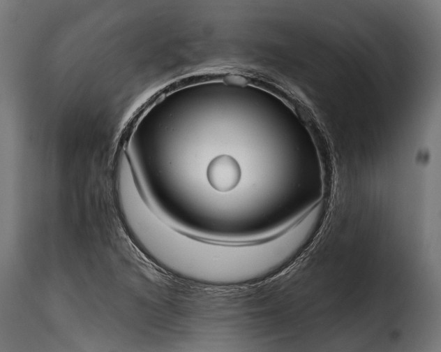 X0000115641216200911241703