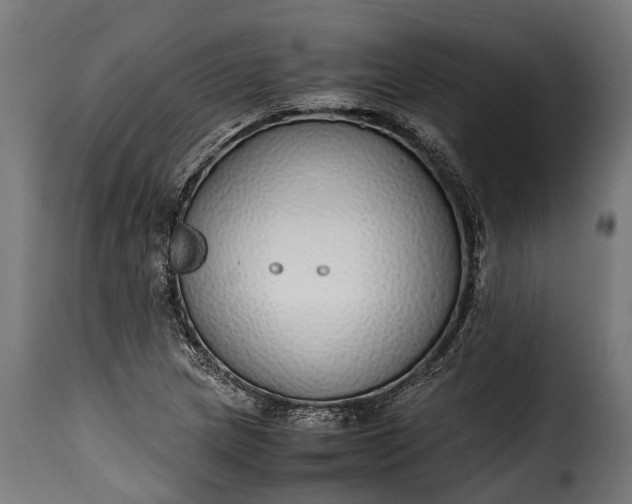 X0000115641217200911241703