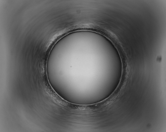 X0000115641218200911241703