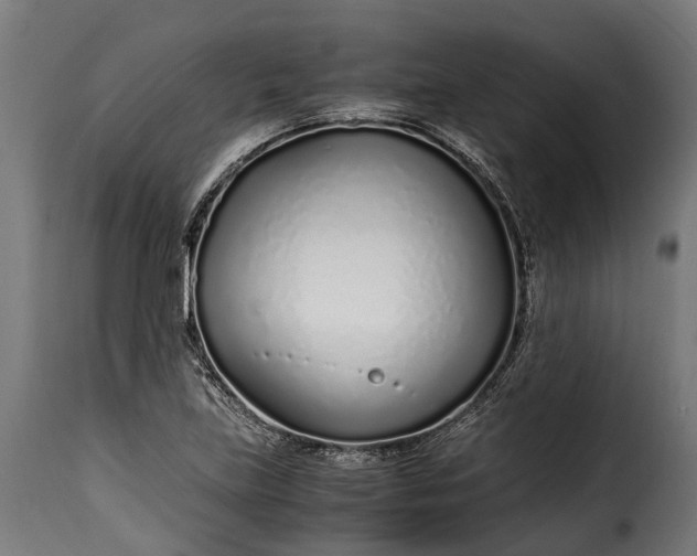 X0000115641219200911241703