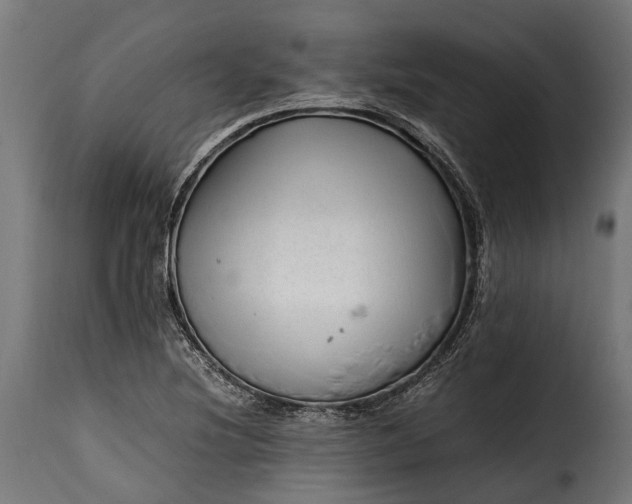 X0000115641220200911241703